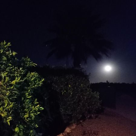 La Buganvilla, Descanso Entre Olivares Hornachuelos Zewnętrze zdjęcie