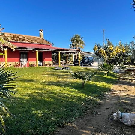 La Buganvilla, Descanso Entre Olivares Hornachuelos Zewnętrze zdjęcie