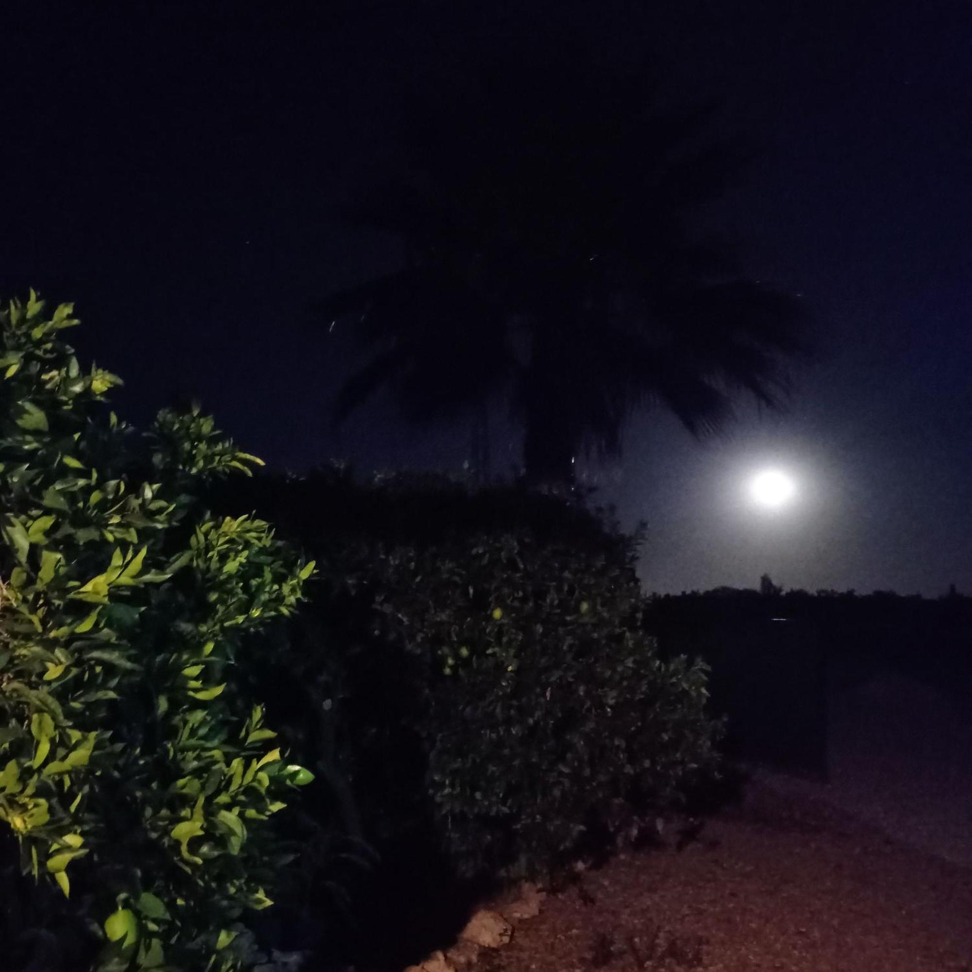 La Buganvilla, Descanso Entre Olivares Hornachuelos Zewnętrze zdjęcie