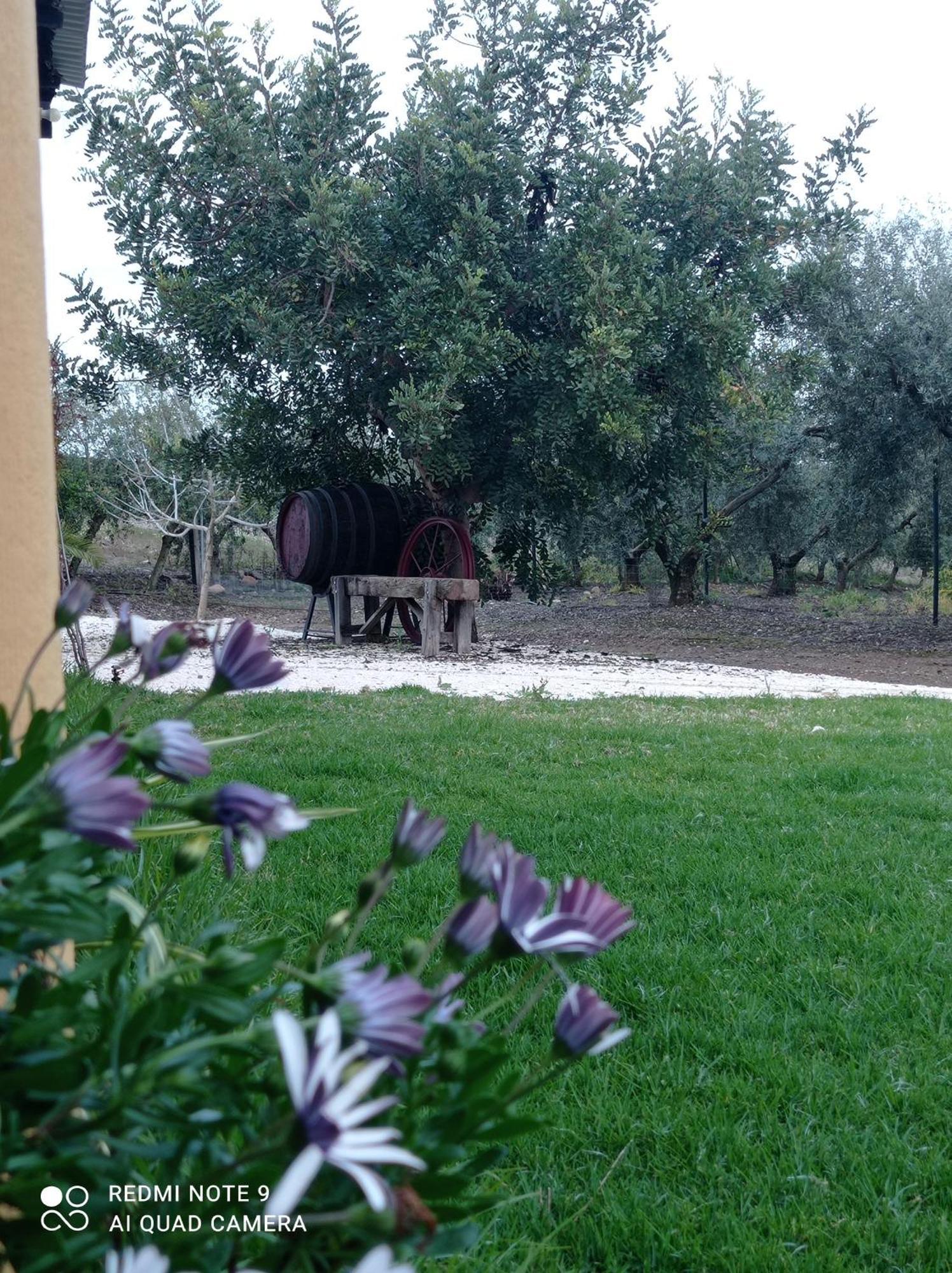 La Buganvilla, Descanso Entre Olivares Hornachuelos Zewnętrze zdjęcie